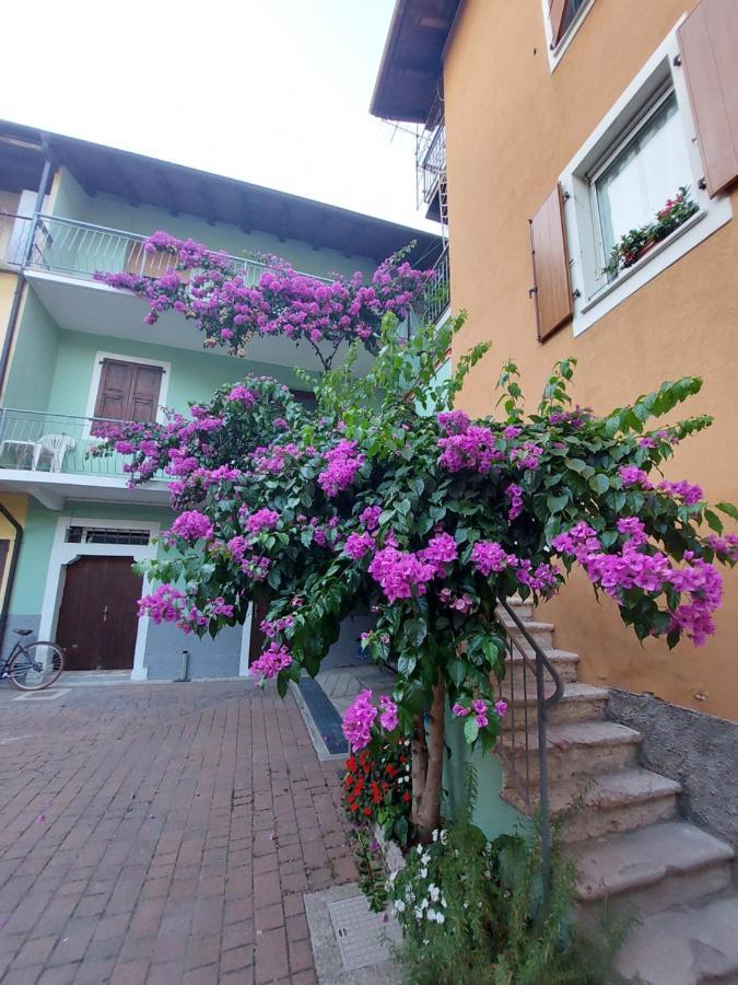 La Bougainville - Luxury Apartment Torbole Sul Garda Eksteriør billede